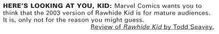 Review of Rawhide Kid by Todd Seavey